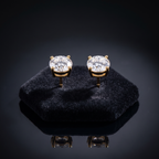 Zilveren Moissanite Oorbellen 2 Karaat op fluwelen standaard