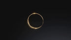 2 karaat Moissanite (lab diamant) ring | 14 Karaat Goud | 17.25 mm / Maat 54